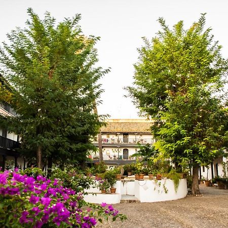 New Apartment In Traditional Building Of The XVI Century Севилья Экстерьер фото